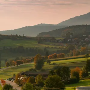 Bergesblick Lam